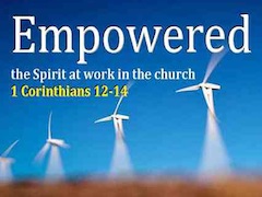 EMP_MedPlayer_240x180